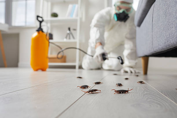 Commercial Kitchen Cockroach Control in Lakeland